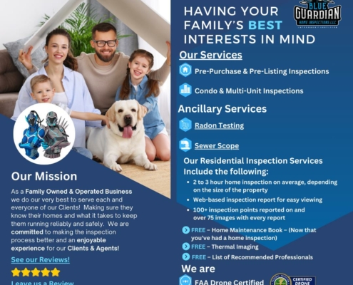 Blue Guardian Home Inspections - Having Your Family's Best Interests in Mind